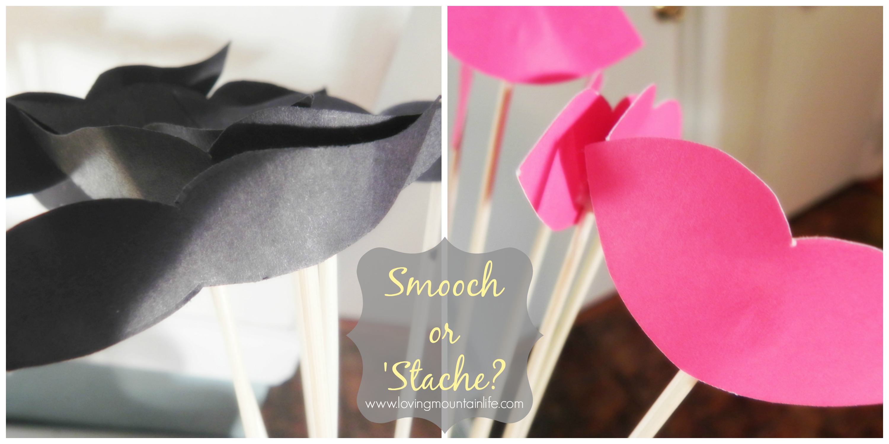 Smooch or Stache? | Gender Reveal Party | Loving Mountain Life