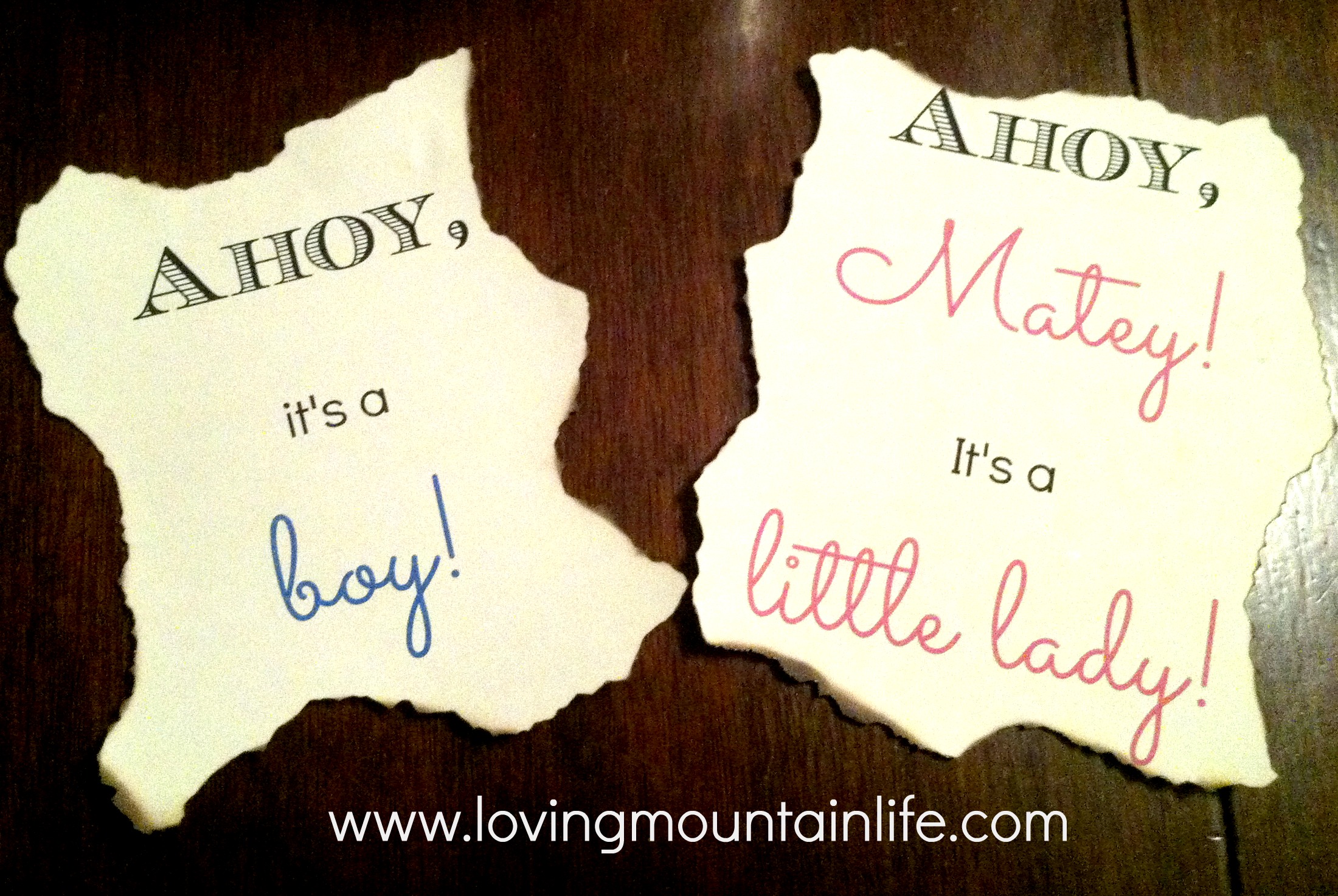 Beach Themed Gender Reveal Signs | Loving Mountain Life