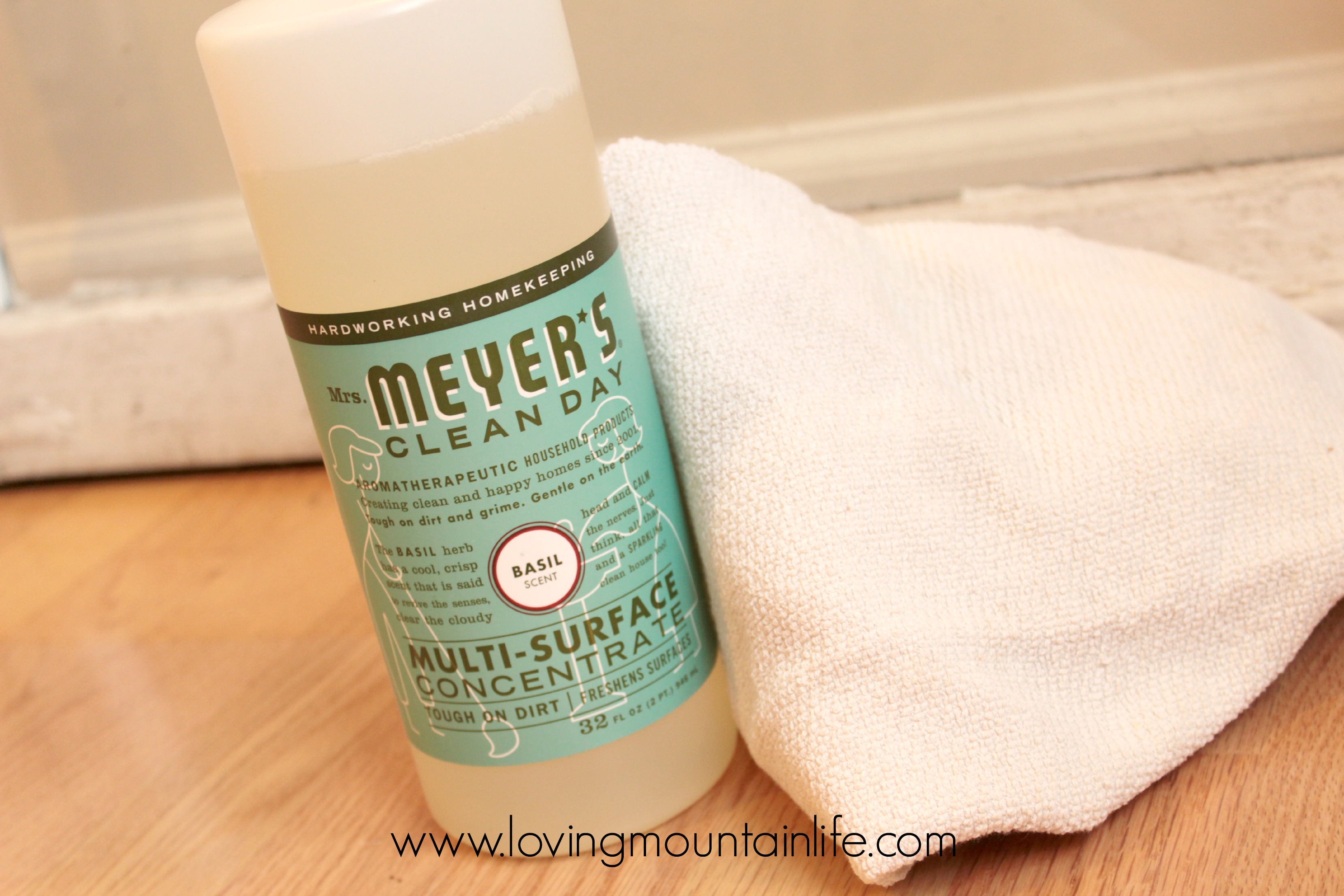 Meyer's Clean Day | Loving Mountain Life