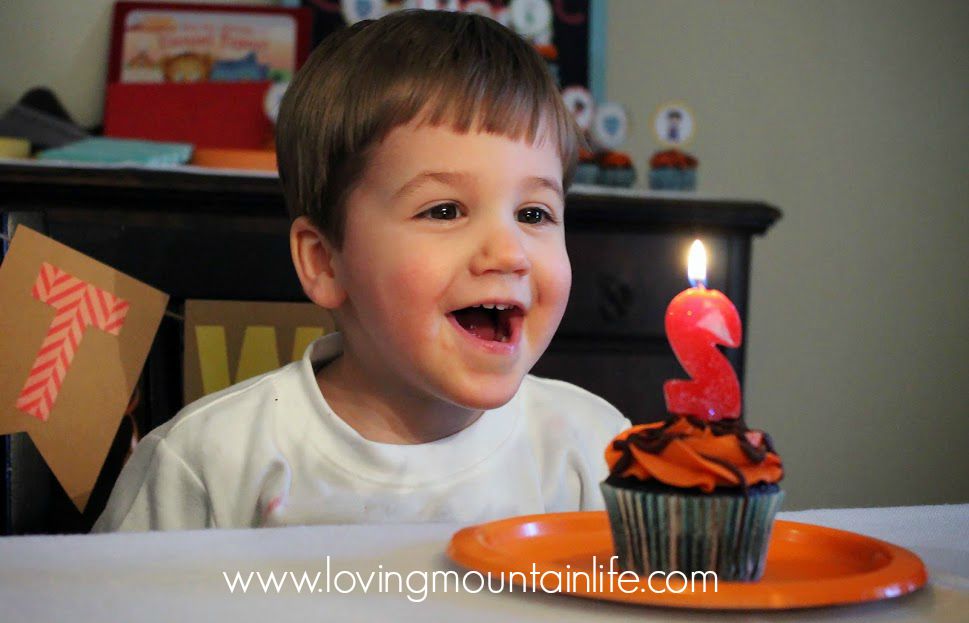 Daniel Tiger Second Birthday Party from Loving Mountain Life