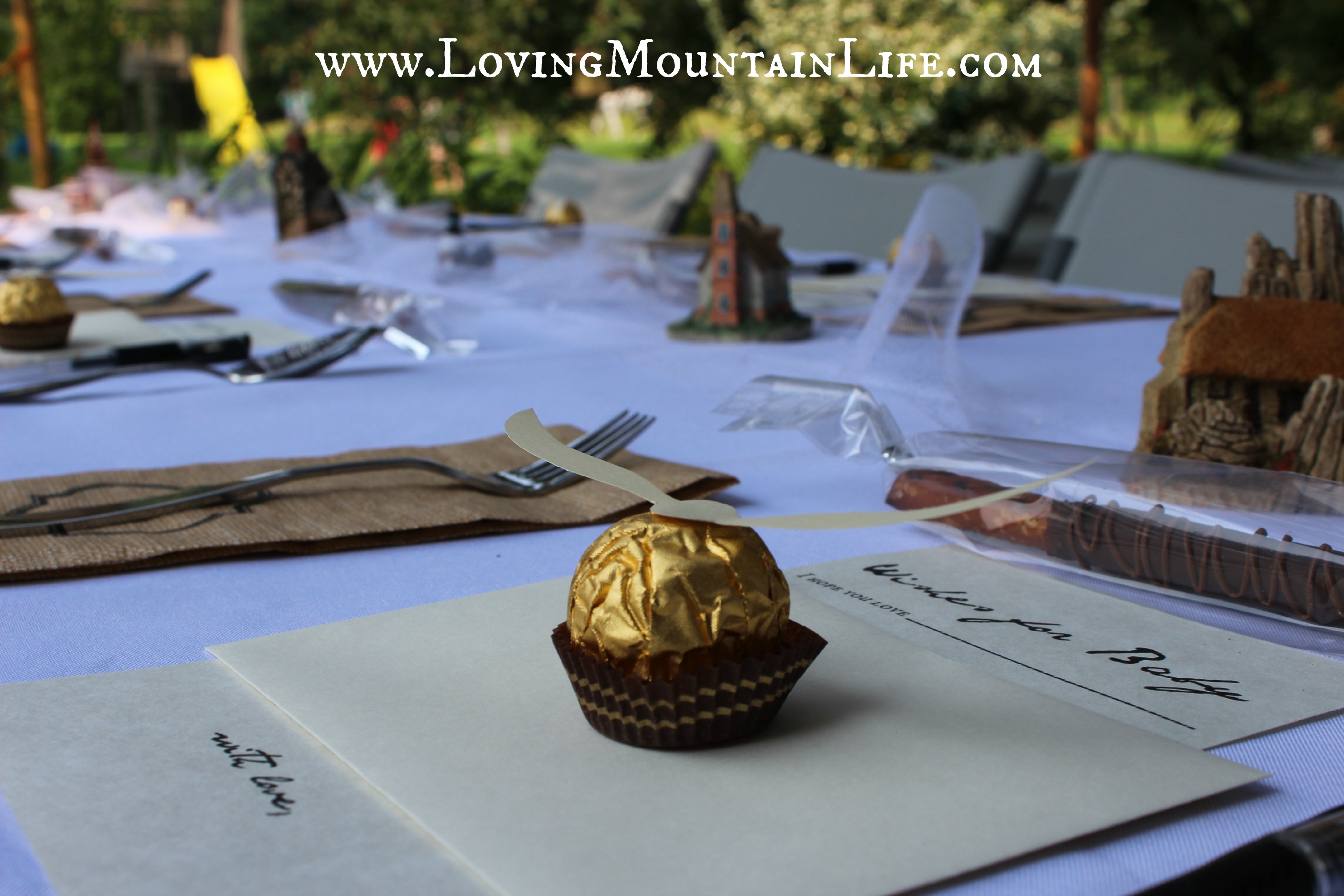 Place Settings for a Harry Potter shower from Loving Mountain Life