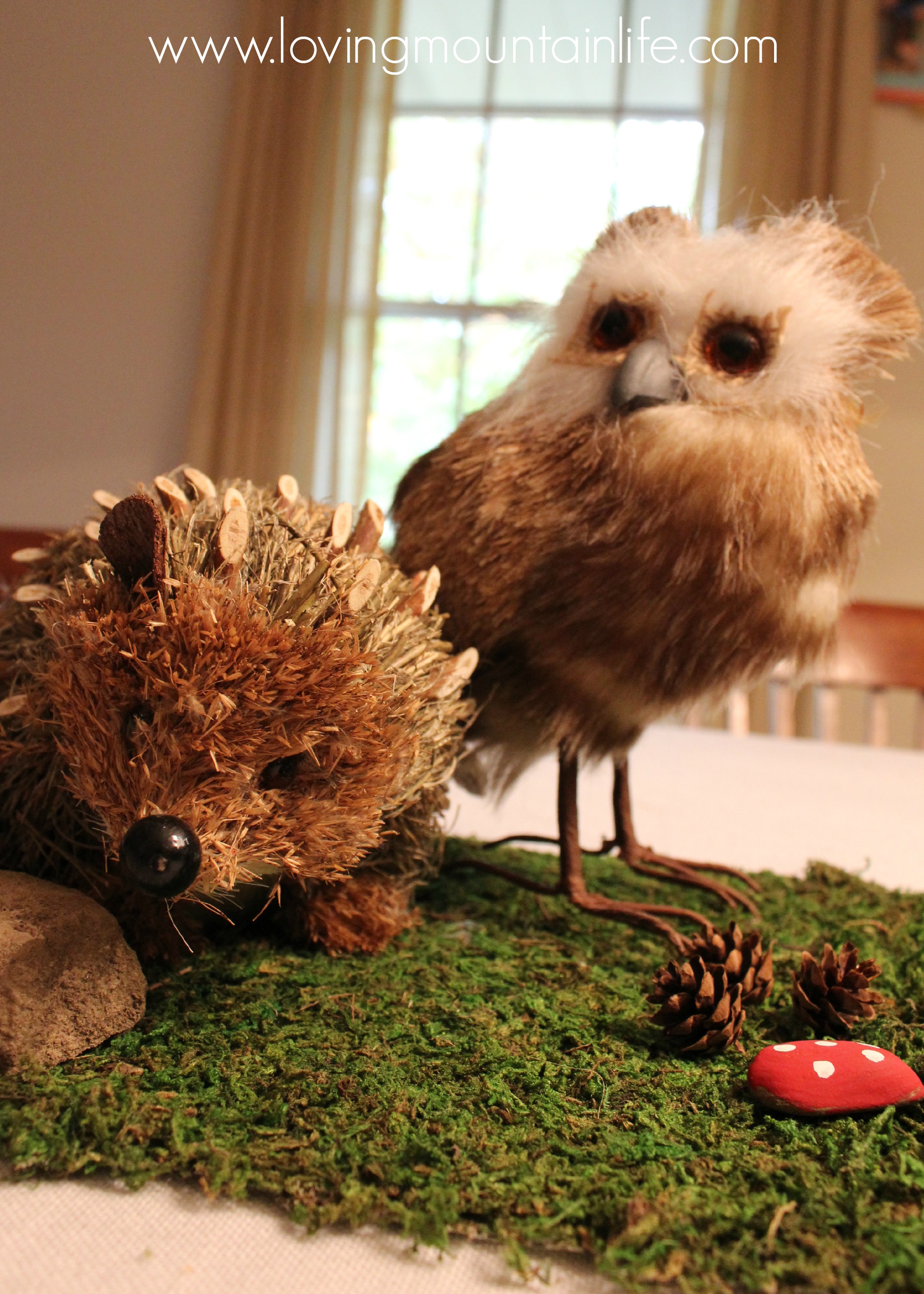 Hedgehog and Owl | Loving Mountain Life