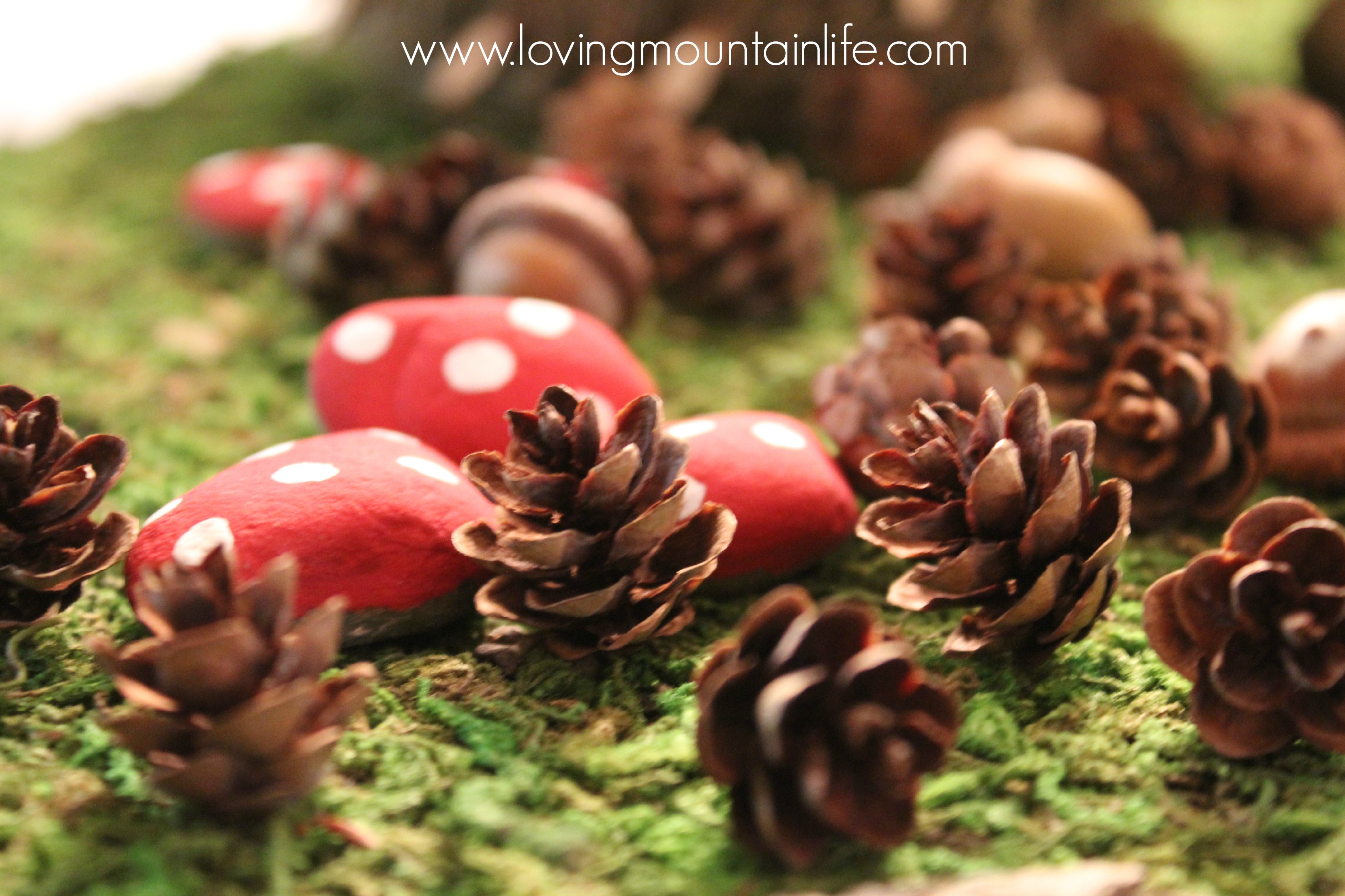 Mushroom Rocks Acorns and Pinecones for a Woodland Party | Loving Mountain Life