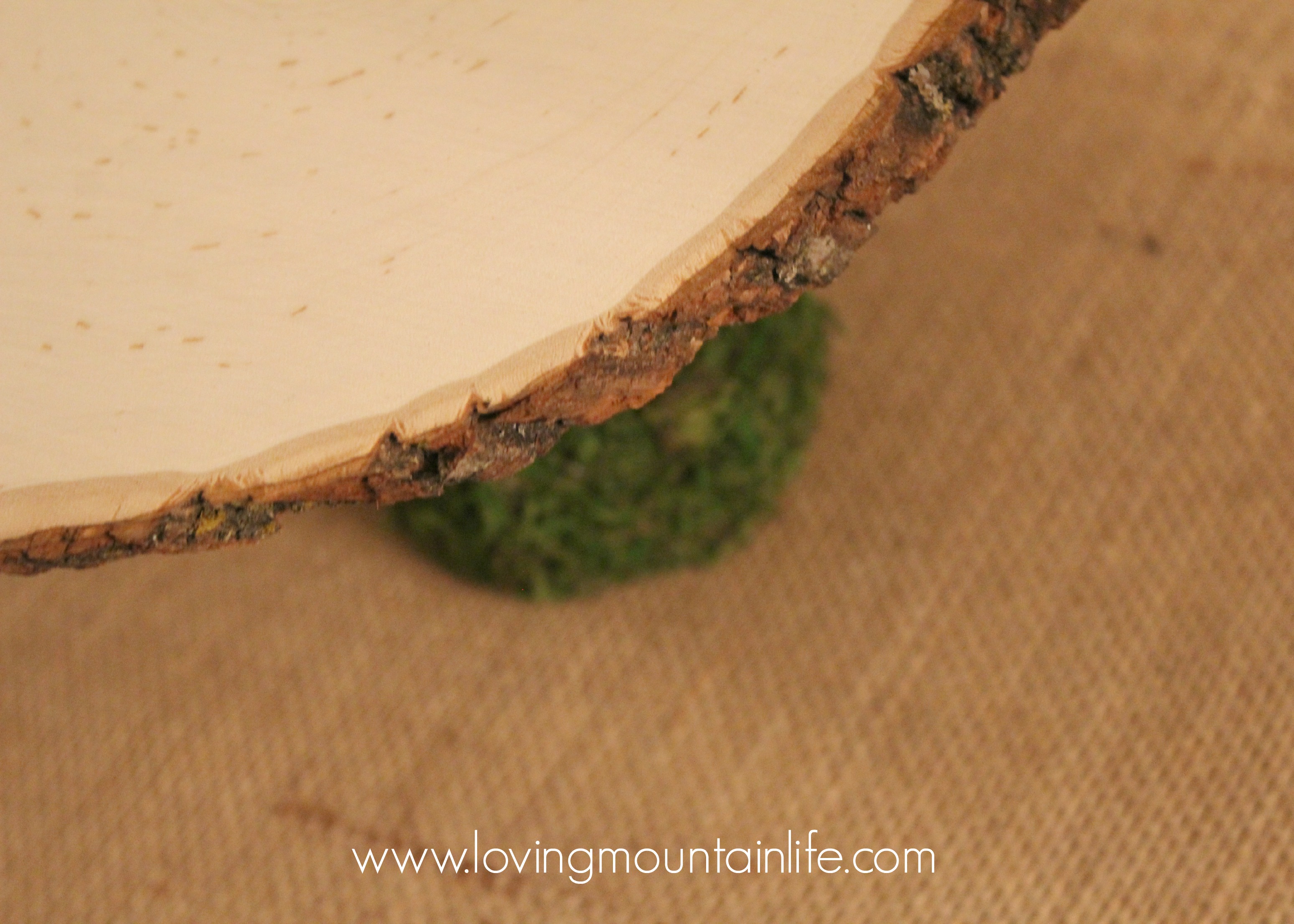 Top View of Woodland Cakestand from Loving Mountain Life